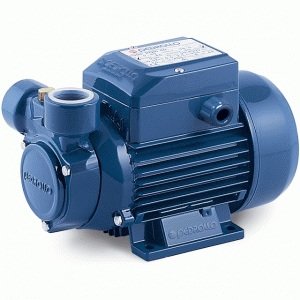 PQm81