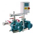 Calpeda BS3F 3 NMS 80/250B/A — фото